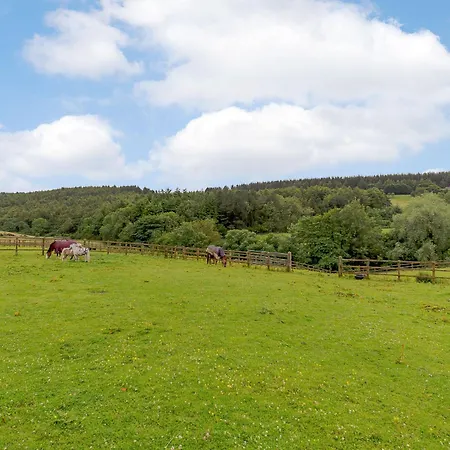 Holiday home Orchard - Uk30524 Staintondale