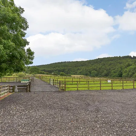 Orchard - Uk30524 * Staintondale